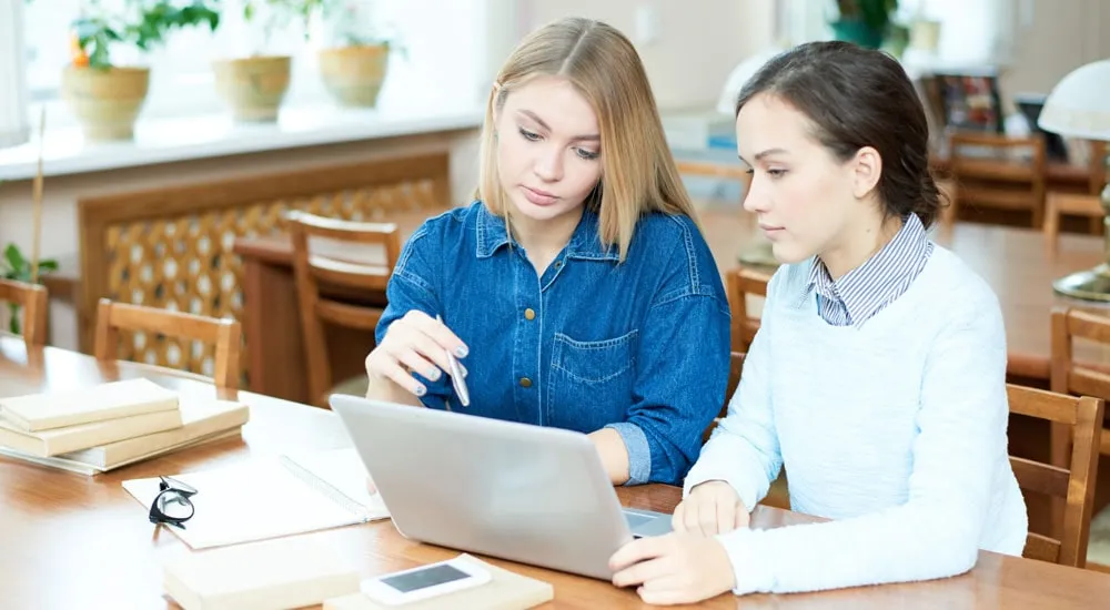 edebi eser çevirisi nasıl yapılır