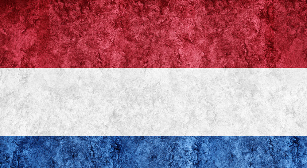 hollanda dil egitimi