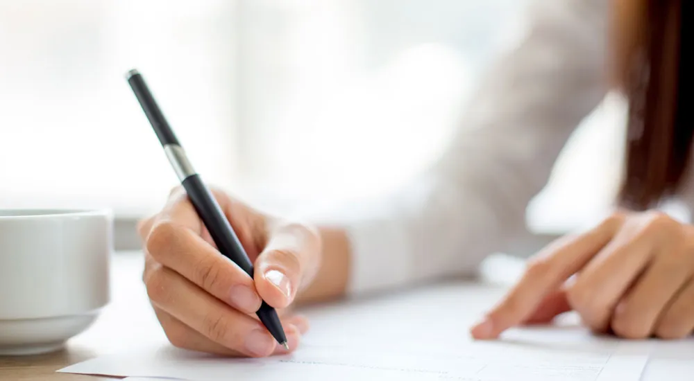 prospektüs çevirisi nedir