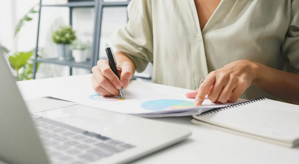 web sitesi çevirisi nedir